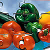 Maxifruto 